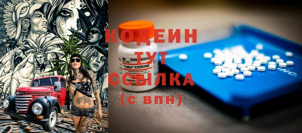 шишки Волоколамск